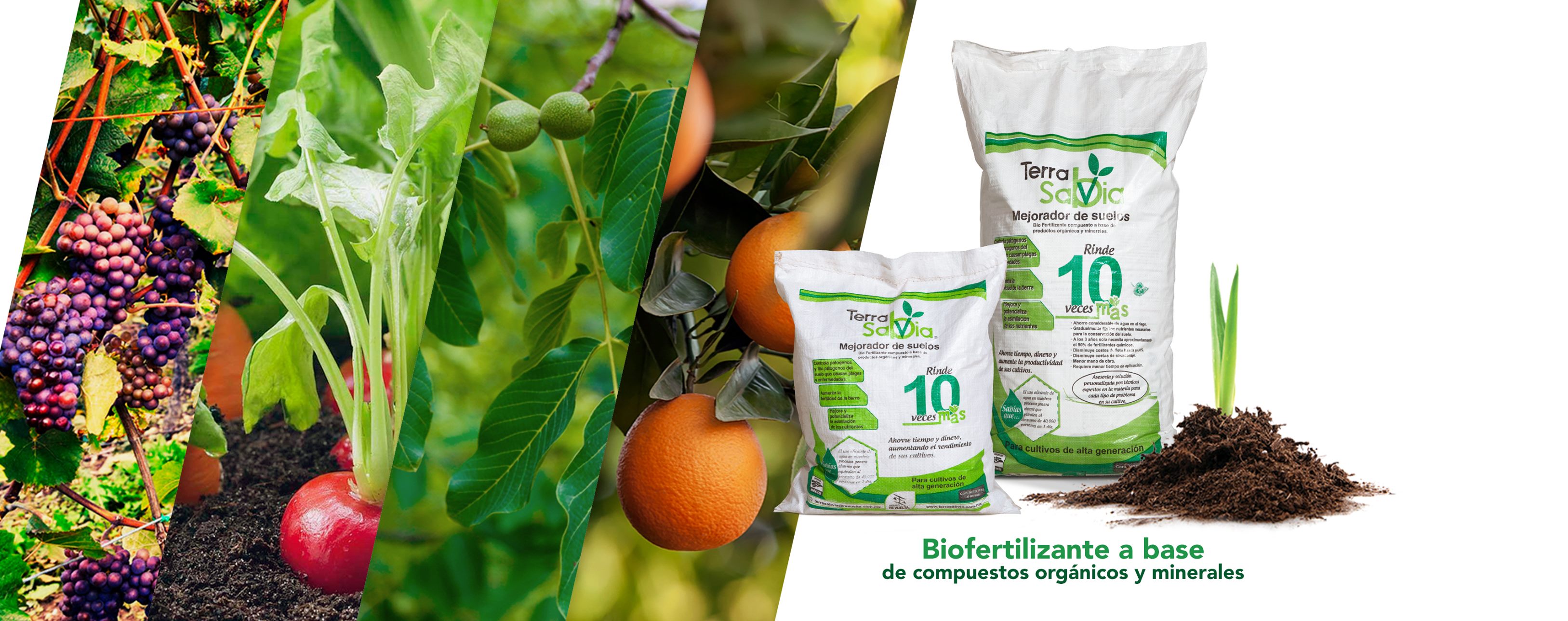 Banner Productos Terra Sabvia